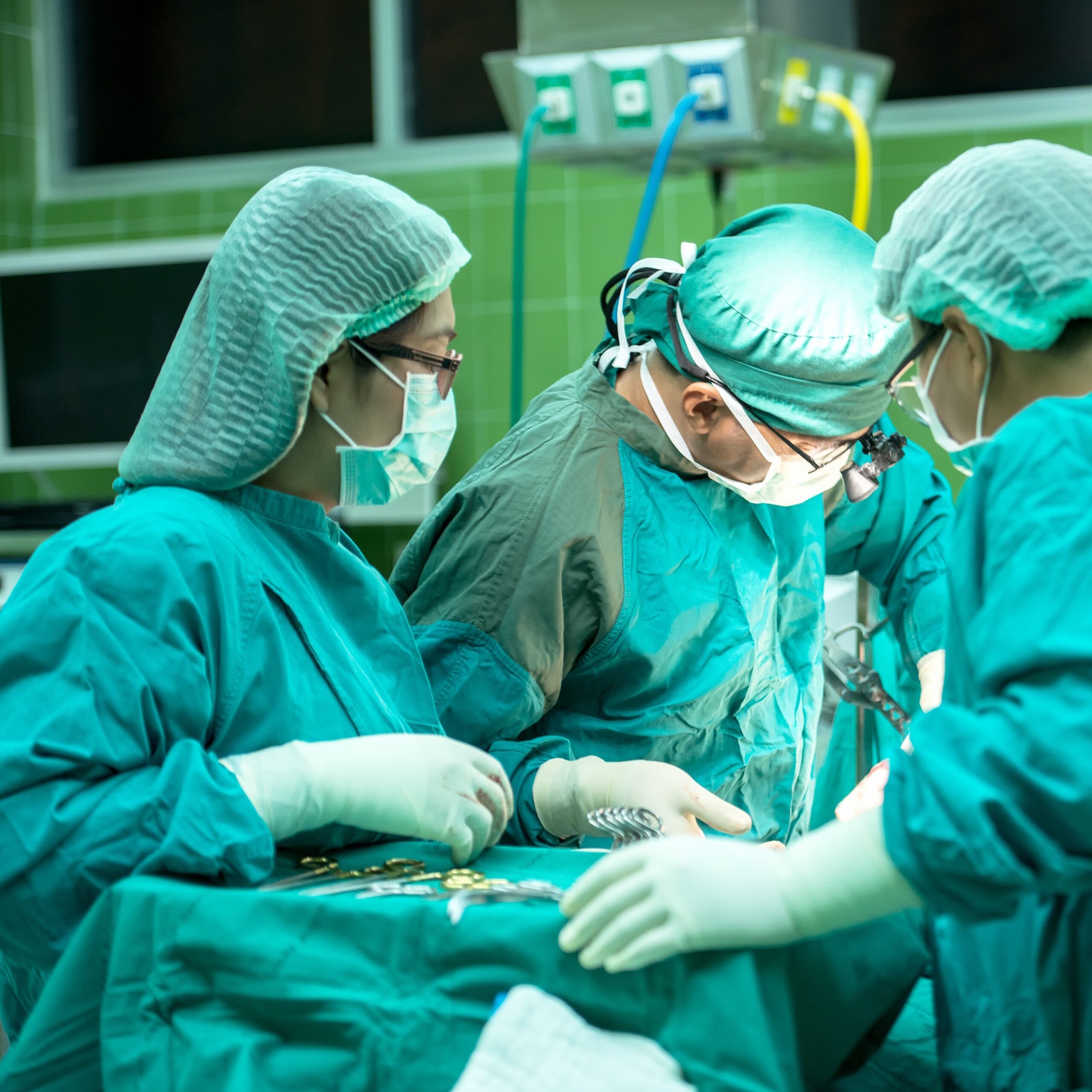 Before your pet under goes any major surgery, we can develop a training plan with your vet to keep their minds active during recovery